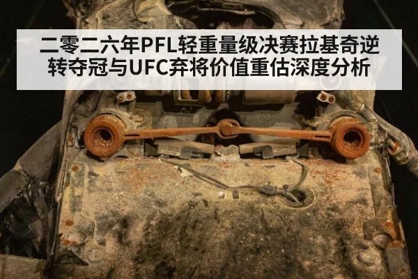 二零二六年PFL轻重量级决赛拉基奇逆转夺冠与UFC弃将价值重估深度分析