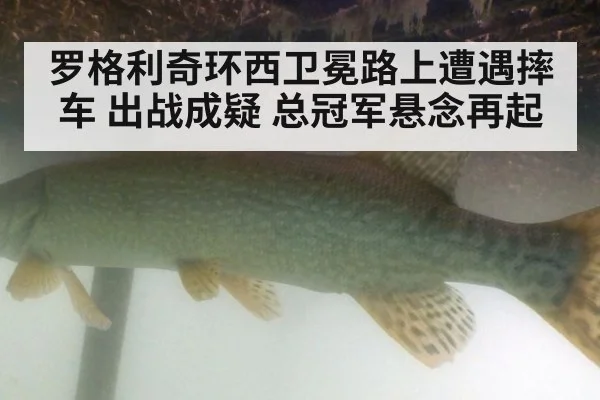罗格利奇环西卫冕路上遭遇摔车 出战成疑 总冠军悬念再起