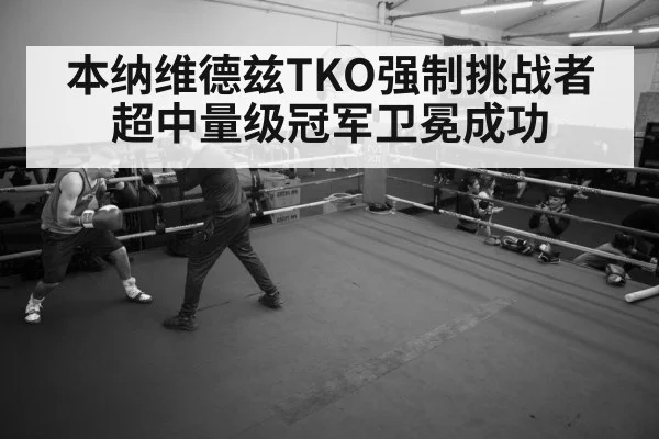 boxer training gym