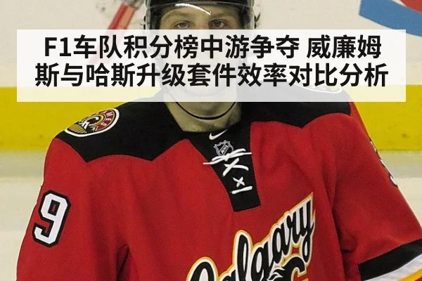 F1车队积分榜中游争夺 威廉姆斯与哈斯升级套件效率对比分析